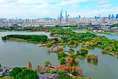 pali2.city轻量版：轻量畅玩，生活无忧，体验新境界-2