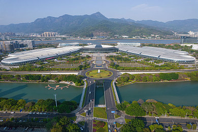 世界姓交大夺冠历程：电竞巅峰挑战，战队荣耀征途-2