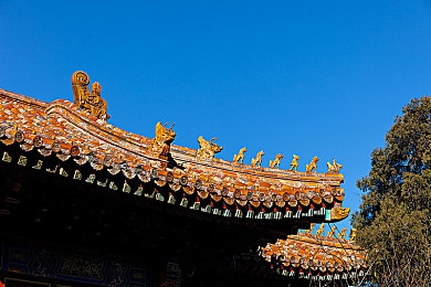 雷电将军和丘丘人繁衍后代视频：揭秘游戏魅力：雷电将军与丘丘人后代生活萌态引发热议-3
