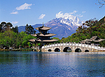 推特污：穿越推特迷境，解密污垢迷宫的冒险之旅-3