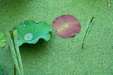 最原始的初试云雨：穿越千年的性智慧：古文明性教育启示录，现代性教育新探索