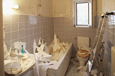 吃瓜群众：网络盛宴中的理性守望者：构建和谐网络生态圈-2