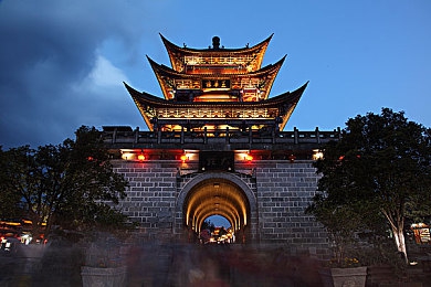 雏鸟圆你罗丽梦：国漫插画师以自然元素诠释罗小黑，创作视觉盛宴引发网友热议