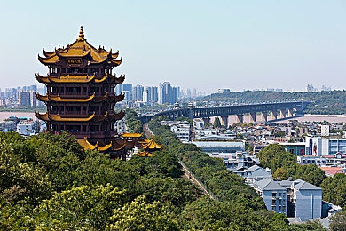 狗狗和人胶配方大全高清下载：揭秘萌宠美味：人胶配方大全助你为狗狗打造健康餐桌-2