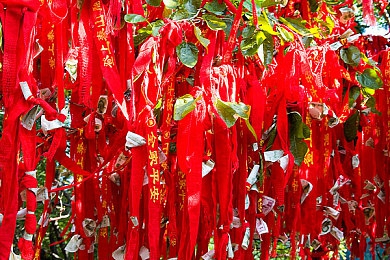 一交一伦一性一双：虚拟幻境，交谊绘伦，个性绽放，视觉盛宴-1