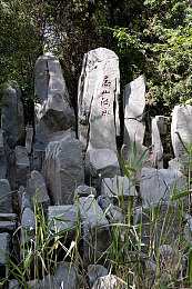 99日这里只有精品：视听盛宴，99天精品乐园，尽享生活乐趣-2