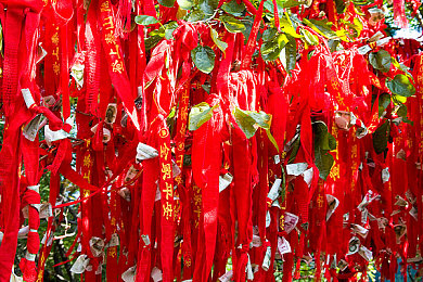 机机对机机手游免费下载版：机器人战场新篇章，免费竞技《机机对机机》邀您挑战-2