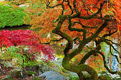 天天爱天天干天天操：全民健身热潮涌动，社区互动促和谐，健康中国新风尚绽放-3