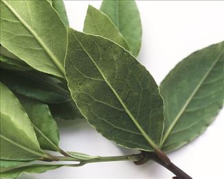 尿交宫交强虐h：禁忌边缘的探索：揭秘游戏行业禁忌主题的深层影响与文化反思-2