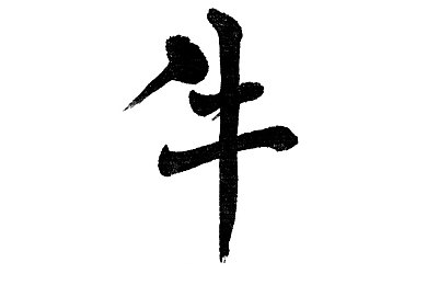 萝卜打牌不盖被子：“XX社区文化活动热闹非凡，居民共度欢乐时光，传统文化焕发新活力”-3