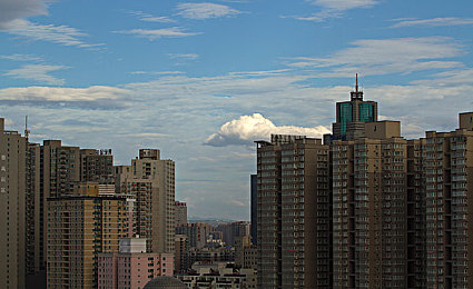久久久久久99精品久久久：网络潮流解码：趣味“久久”挑战，创意无限互动之旅-3