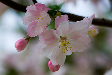 皖事通省直公积金非首次支取：公积金提取无忧，皖事通助你轻松理财-2
