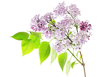 他缓慢而有力的撞着在车里视频：惊悚瞬间揭秘：车内撞击视频引发热议，如何正确欣赏与传播？