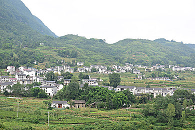 春雨直播在线观看视频免费播放：直播盛宴，春雨洒福利，无广告干扰，共享便捷视听盛宴-2
