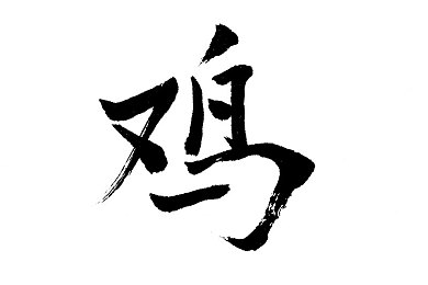 色哟哟网站在线观看：短视频盛宴，潮流直播盛宴，探索文化新天地-2
