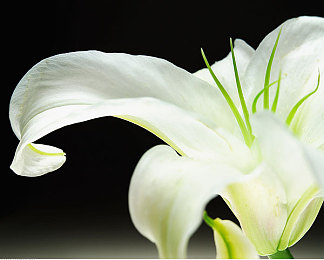 黄色软件下载3.3.3.0：软件宝库探秘：海量资源，一键直达，安全无忧新体验-3
