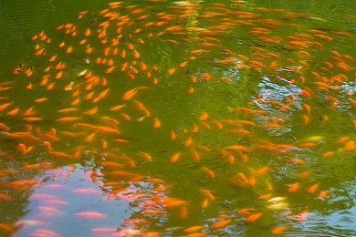 蜜桃秘 AV导航：探索AV秘境，畅游资源海洋-4