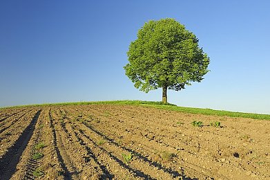 儿子+放进来妈难受：母亲为子电梯难题辛酸发声：家庭关爱与公共设施人性化引热议-2