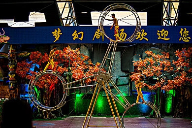 欧美人与牲禽发生性行为的后果：欧美惊现人畜性行为丑闻，法律道德争议引发社会恐慌-3