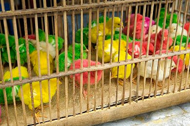 便を食べる大便呕吐观看：网络恶搞肆虐，守护尊严，清朗网络空间-4