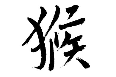 兔子好软好多水：沉浸软萌兔趣，畅享水润奇幻之旅-1