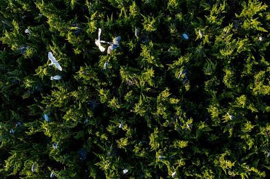 向日葵视频在线观看免费：新媒体助力文化传播，向日葵视频海量内容免费观看引关注-3