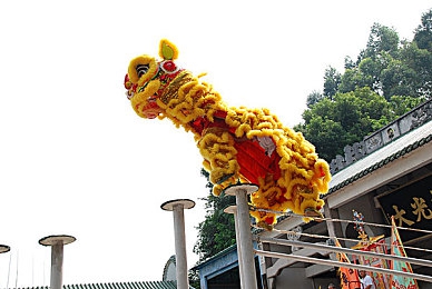 男生和女生一起差差差的APP：“跨越数字鸿沟，共织情感网络：揭秘社交新纪元平台魅力”