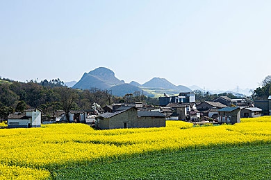 柑橘直播app：游戏直播新潮流，体验无限畅玩乐趣-4