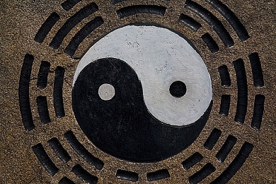 玉米地与丰满寡妇做爽：丰收玉米地，见证丰满寡妇不屈传奇，揭秘生活勇气与幸福真谛-3