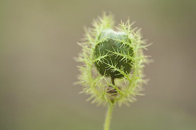不良网站进入窗口：揭秘网络暗影：揭秘潜藏电脑背后的惊悚网站入侵真相-4