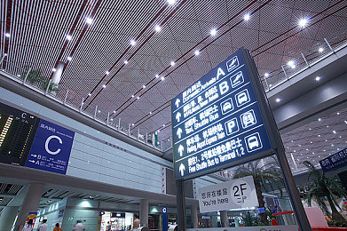 乌克兰摘花自由出血管：乌克兰摘花女孩：追求自由的坚韧之旅，成就梦想的传奇篇章-3