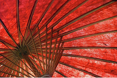葫芦娃黄色视频软件：葫芦娃动画特效秀，趣味变身乐趣多-3