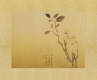 思思99热这里：畅游社交新天地，竞技乐趣乐不停，趣味挑战赢友情-4