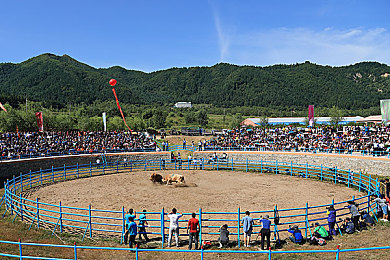 富二代污：骄子迷失，文明觉醒：反思家庭教育之旅-3