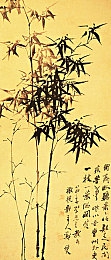 a√天堂中文：奇幻征途，绘梦天堂，角色巅峰，冒险启航-5