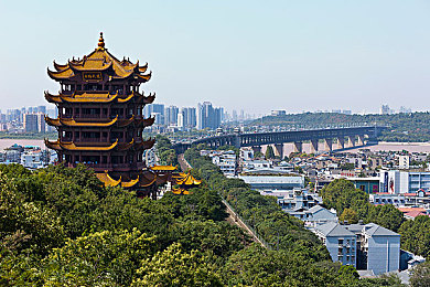 天堂中文在线8：穿梭虚拟仙境，探寻梦想乐园的奥秘之旅-3