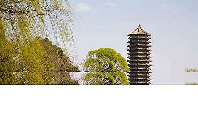 新金银1-5：游戏新篇章开启：新金银版本升级，探索冒险无限可能-4