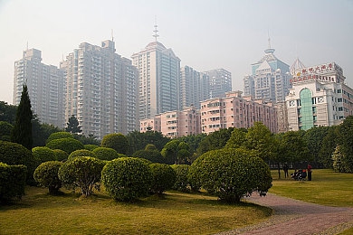 最污app：网海沉浮：揭秘低俗内容，守护青春净土-4