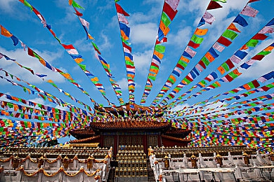 何太是哪里人：历史迷踪：何太身世溯源，探寻华夏英才故里之谜-2