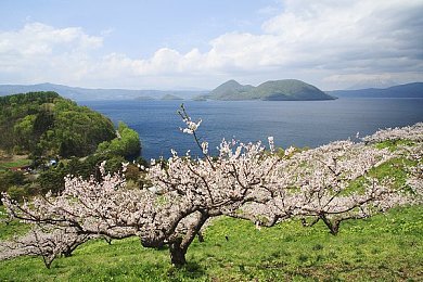 吃瓜黑料 今日黑料 热门黑料：娱乐圈风暴再起：揭秘抄袭门、绯闻风波与税务疑云，激荡版权与公平正义之思-5