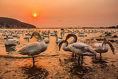 超碰porn：沉浸互动新巅峰：成人游戏《超碰Porn》引领行业潮流，揭秘成人娱乐行业秘密-2