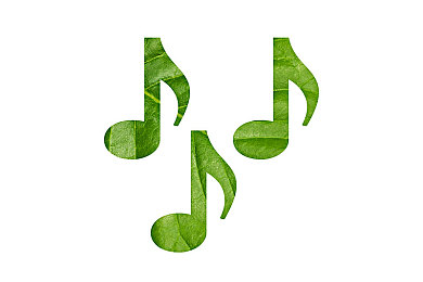 肾虚十八连回家抖音暗号：抖音神秘暗号热传：探寻“肾虚十八连回家”背后的文化传承与网络新潮-5