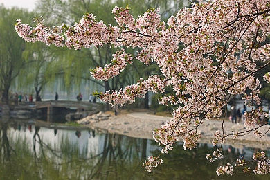 芒果一区二区三区：游戏盛世，三界风云，共谱传奇-4
