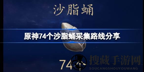 原神探险家秘籍：须弥沙脂蛹宝藏地图全解析