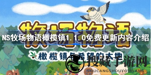 世嘉宣布NS版《牧场物语》更新：精灵任务与婚礼庆典，新内容丰富体验升级